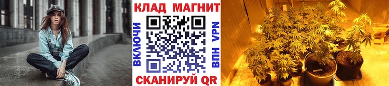 Сколько стоит Топки COCAIN  Псилоцибиновые грибы  ГАШ  Alpha-PVP 