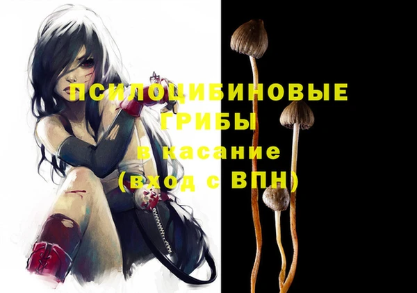 спиды Алексеевка